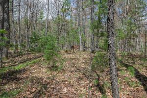 Lots 4 & 5 Off Eagle Waters Rd, , Eagle River,  WI 54521