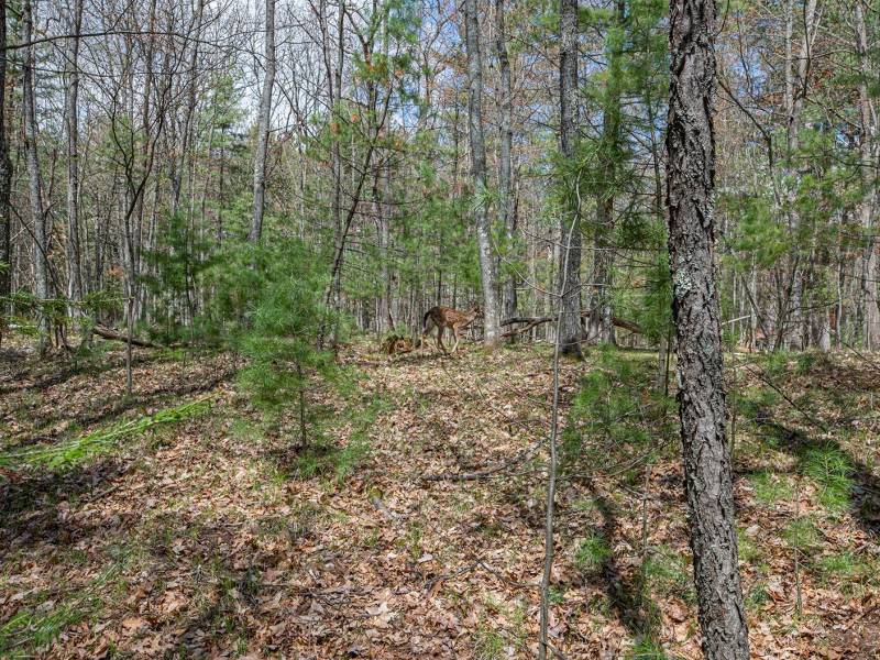 Lots 4 & 5 Off Eagle Waters Rd, , Eagle River,  WI 54521