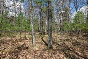 Lots 4 & 5 Off Eagle Waters Rd, , Eagle River,  WI 54521