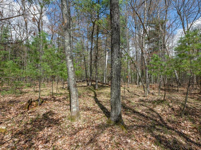 Lots 4 & 5 Off Eagle Waters Rd, , Eagle River,  WI 54521