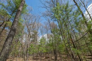 Lots 4 & 5 Off Eagle Waters Rd, , Eagle River,  WI 54521