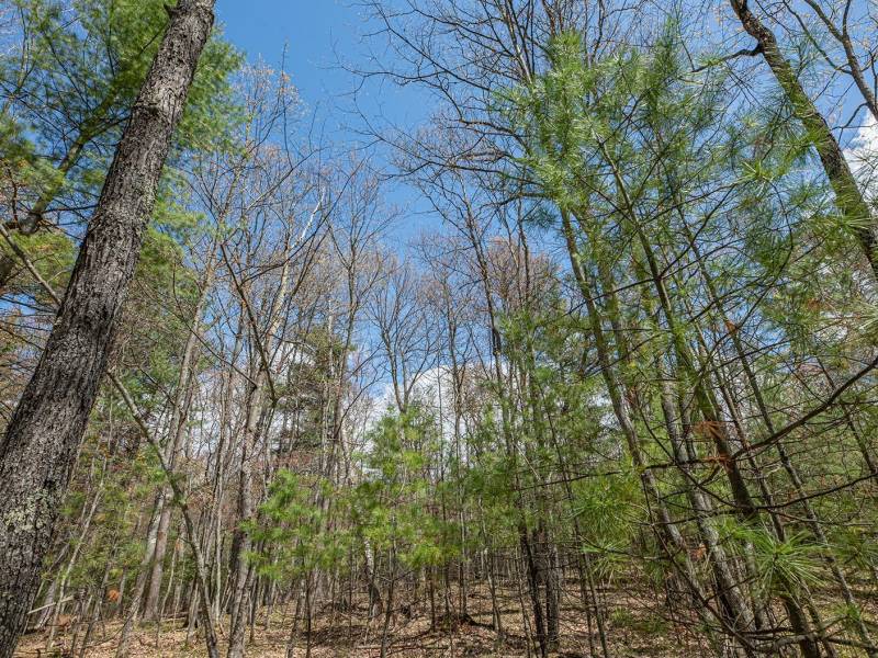 Lots 4 & 5 Off Eagle Waters Rd, , Eagle River,  WI 54521