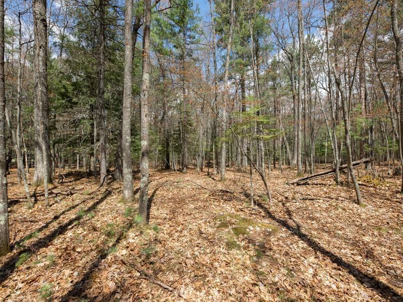 Lots 6 & 7 Off Eagle Waters Rd, , Eagle River,  WI 54521