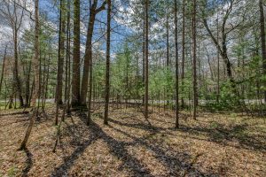 Lots 6 & 7 Off Eagle Waters Rd, , Eagle River,  WI 54521