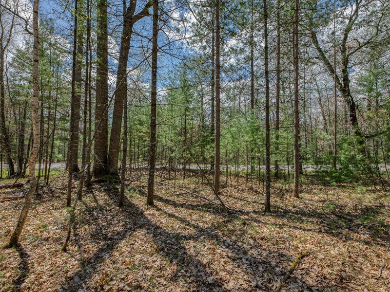 Lots 6 & 7 Off Eagle Waters Rd, , Eagle River,  WI 54521
