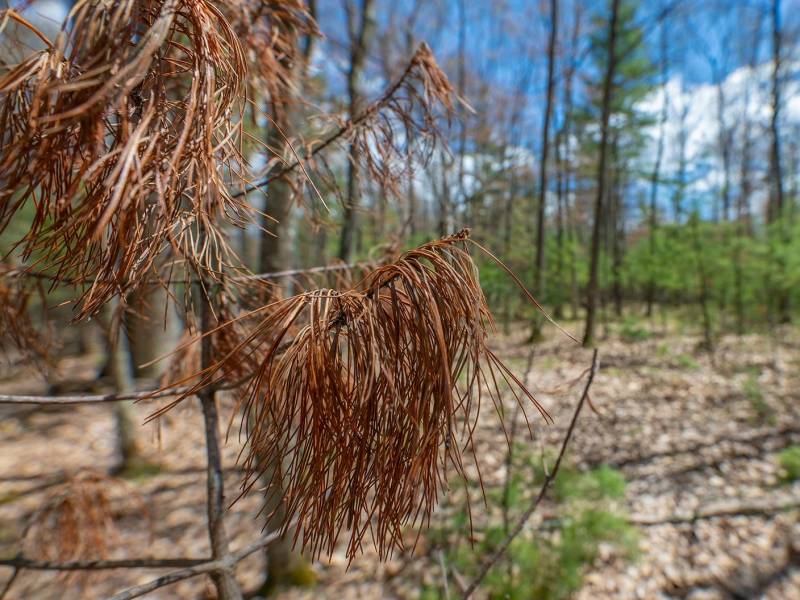 Lots 6 & 7 Off Eagle Waters Rd, , Eagle River,  WI 54521