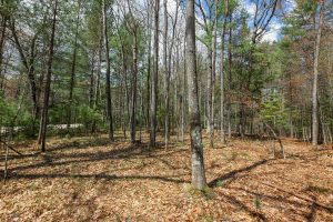Lots 6 & 7 Off Eagle Waters Rd, , Eagle River,  WI 54521
