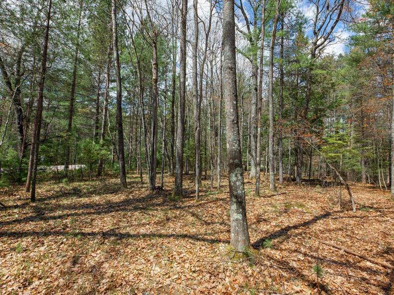 Lots 6 & 7 Off Eagle Waters Rd, , Eagle River,  WI 54521