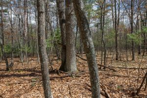 Lots 6 & 7 Off Eagle Waters Rd, , Eagle River,  WI 54521