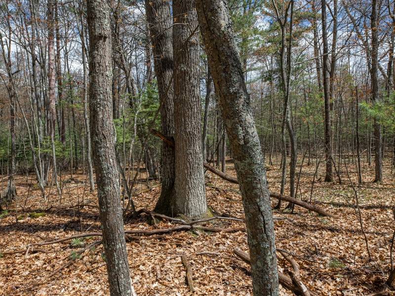 Lots 6 & 7 Off Eagle Waters Rd, , Eagle River,  WI 54521