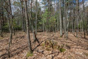 Lots 6 & 7 Off Eagle Waters Rd, , Eagle River,  WI 54521