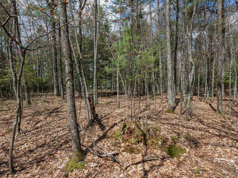 Lots 6 & 7 Off Eagle Waters Rd, , Eagle River,  WI 54521