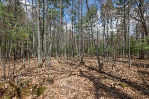 Lots 6 & 7 Off Eagle Waters Rd, , Eagle River,  WI 54521