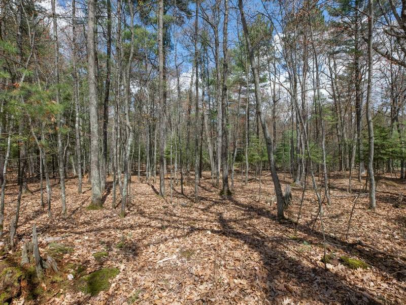 Lots 6 & 7 Off Eagle Waters Rd, , Eagle River,  WI 54521