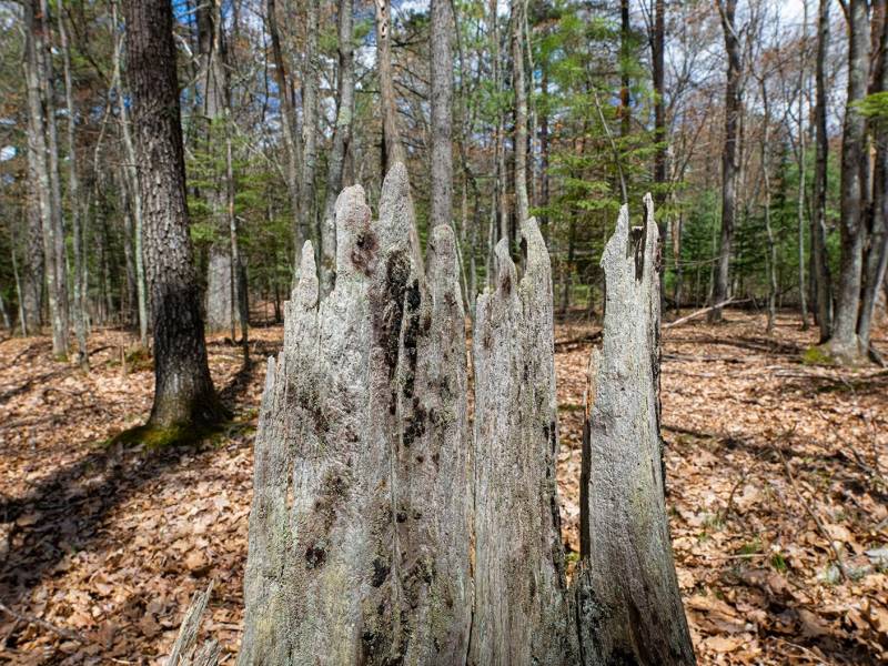 Lots 6 & 7 Off Eagle Waters Rd, , Eagle River,  WI 54521