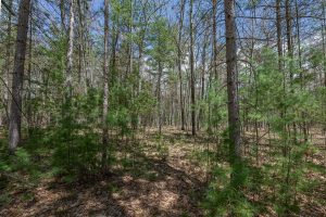 Lots 6 & 7 Off Eagle Waters Rd, , Eagle River,  WI 54521