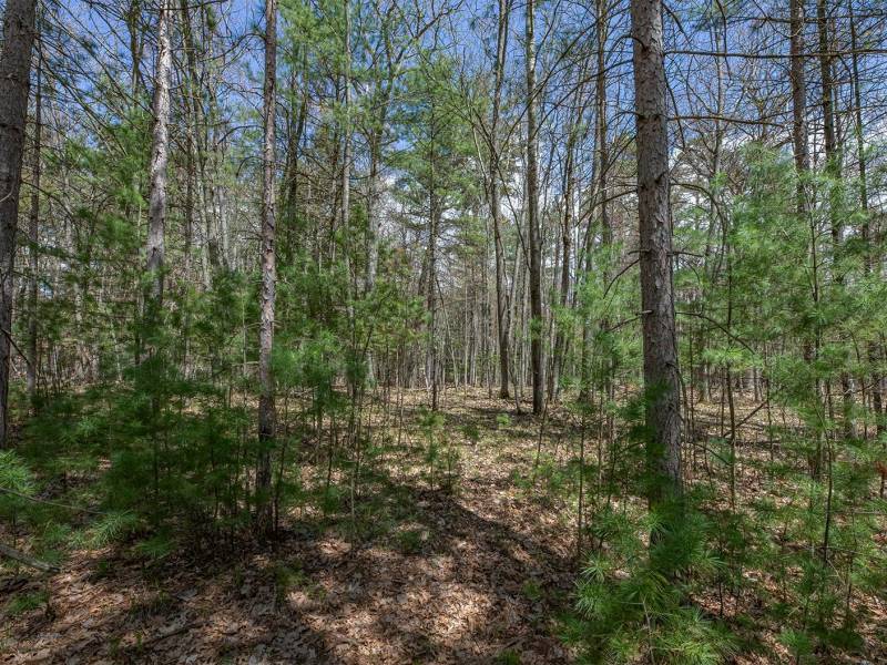 Lots 6 & 7 Off Eagle Waters Rd, , Eagle River,  WI 54521