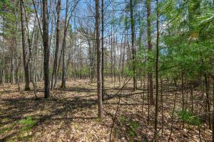 Lots 6 & 7 Off Eagle Waters Rd, , Eagle River,  WI 54521
