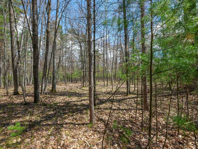 Lots 6 & 7 Off Eagle Waters Rd, , Eagle River,  WI 54521