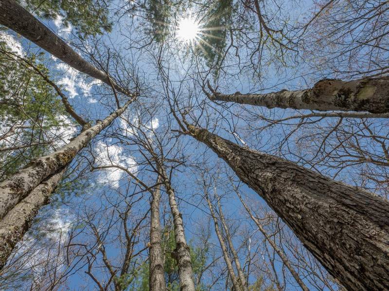 Lots 6 & 7 Off Eagle Waters Rd, , Eagle River,  WI 54521