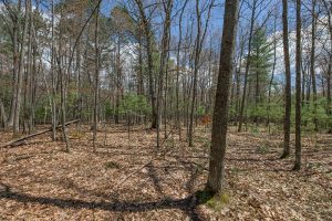 Lots 6 & 7 Off Eagle Waters Rd, , Eagle River,  WI 54521