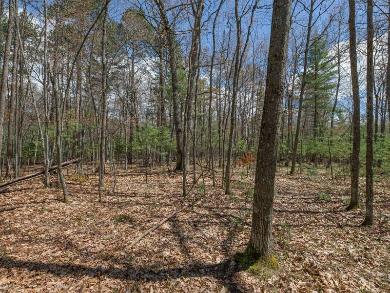Lots 6 & 7 Off Eagle Waters Rd, , Eagle River,  WI 54521