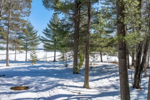 7622 Braeger Rd, , Three Lakes,  WI 54562