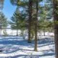 7622 Braeger Rd, , Three Lakes,  WI 54562