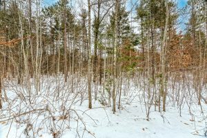 8930 Longhouse Ct, , Minocqua,  WI 54548