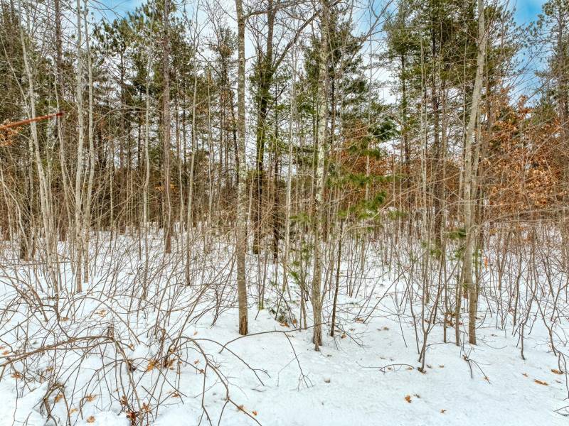 8930 Longhouse Ct, , Minocqua,  WI 54548