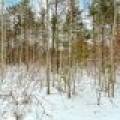 8930 Longhouse Ct, , Minocqua,  WI 54548