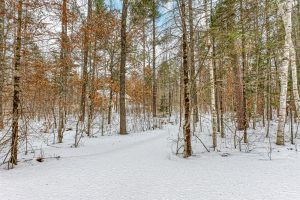 8930 Longhouse Ct, , Minocqua,  WI 54548