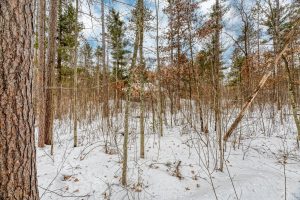 8930 Longhouse Ct, , Minocqua,  WI 54548