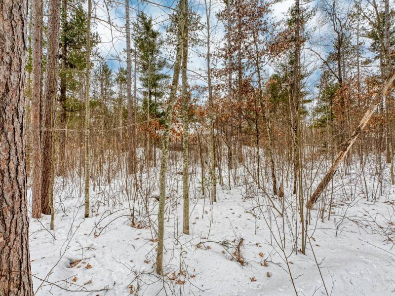 8930 Longhouse Ct, , Minocqua,  WI 54548