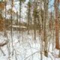 8930 Longhouse Ct, , Minocqua,  WI 54548