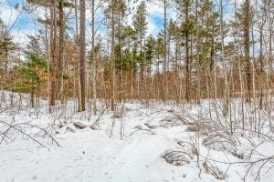 8930 Longhouse Ct, , Minocqua,  WI 54548