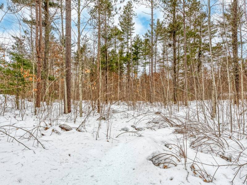 8930 Longhouse Ct, , Minocqua,  WI 54548