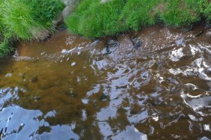 Lincoln, Eagle River,  WI 54521 USA