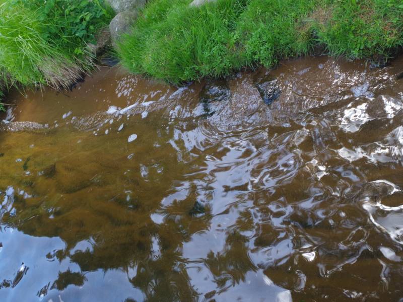 Lincoln, Eagle River,  WI 54521 USA