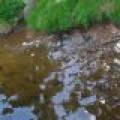 Lincoln, Eagle River,  WI 54521 USA