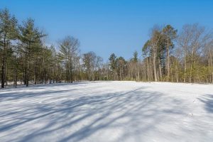 Lot 11 off Fawn Ridge Ln, , Eagle River,  WI 54521