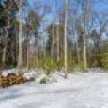 Lot 11 off Fawn Ridge Ln, , Eagle River,  WI 54521