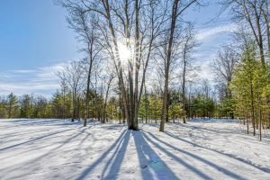 Lot 11 off Fawn Ridge Ln, , Eagle River,  WI 54521