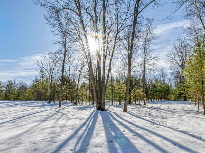 Lot 11 off Fawn Ridge Ln, , Eagle River,  WI 54521