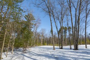 Lot 11 off Fawn Ridge Ln, , Eagle River,  WI 54521
