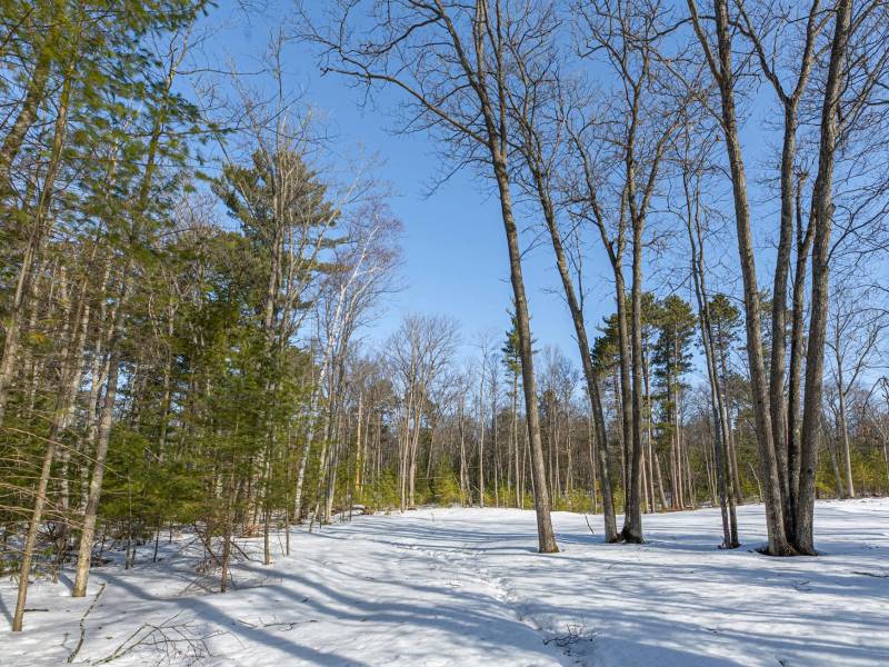 Lot 11 off Fawn Ridge Ln, , Eagle River,  WI 54521
