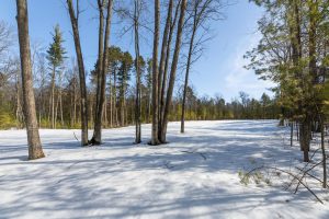 Lot 11 off Fawn Ridge Ln, , Eagle River,  WI 54521