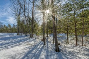 Lot 11 off Fawn Ridge Ln, , Eagle River,  WI 54521