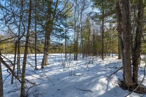 Lot 11 off Fawn Ridge Ln, , Eagle River,  WI 54521