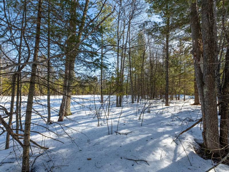 Lot 11 off Fawn Ridge Ln, , Eagle River,  WI 54521